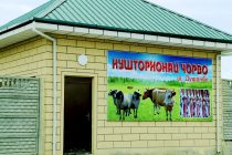 В Душанбе сдан в эксплуатацию пункт забоя скота, отвечающий мировым стандартам