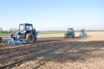 Дехканские хозяйства Хатлонской области увеличивают сев зерновых культур, картофеля, овощей и бахчевых