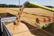 Bloomberg предупредило о дефиците российской пшеницы в мире