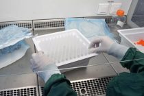 В России предположили, что конец пандемии коронавируса в  стране наступит к июлю