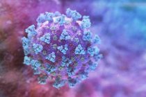 Генетическую загадку коронавируса пытаются разгадать британские исследователи