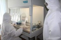 COVID-19. В Таджикистане количество инфицированных коронавирусом достигло 5900 человек