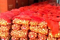 Хатлонская область экспортировала более 200 тонн сельхозпродукции