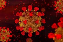 За сутки более 142 тыс. жителей планеты заразились новым коронавирусом