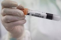 В США за сутки выявили рекордное число заражений коронавирусом