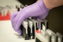 Нидерланды, Италия, Германия и Франция создали альянс для разработки вакцины от коронавируса