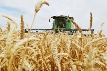 Рекорд в мировом производстве зерновых прогнозируют эксперты