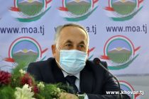 Коронавирус не повлиял на экспорт сельхозпродукции из  Таджикистана