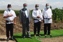 Президент страны Эмомали Рахмон посетил выставку сельскохозяйственной продукции и подсобные хозяйства селения Фалакон