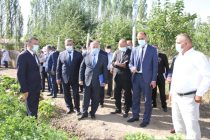 Премьер-министр страны Кохир Расулзода в Ховалингском районе ознакомился со строительными работами и вегетацией сельскохозяйственных культур