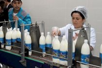 В Муминабаде начал работать цех по производству молочной продукции