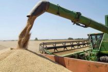 ВОСПЕВАЮ ПШЕНИЧНУЮ ЛЕПЁШКУ… Хлеборобы  Таджикистана в этом году получили обильный урожай зерновых