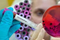 В 126 странах отмечается рост ежедневных случаев заболевания коронавирусом