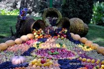 Таджикистан экспортировал 358,4 тонны кондитерских изделий и 54138 тонн фруктов