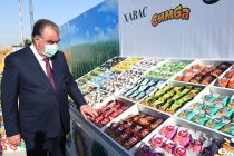 Глава государства Эмомали Рахмон в Турсунзаде дал официальный старт деятельности ООО «Сардор-2008»