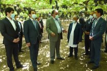 Президент страны Эмомали Рахмон в городе Турсунзаде посетил сад «Боги Ватан»
