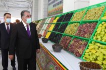Лидер нации Эмомали Рахмон в Пенджикенте посетил ОАО «Маърифатпарвар»