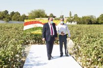 Президент страны Эмомали Рахмон в Зафарабадском районе посетил выставку сельскохозяйственной продукции, народных ремёсел и открыл кампанию по сбору хлопка в подсобном хозяйстве ОАО «Джасур»