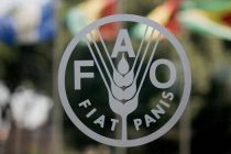 ФАО: Цены на продовольствие в мире растут третий месяц подряд