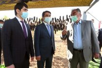 Лидер нации Эмомали Рахмон в городе Турсунзаде посетил дехканское хозяйство «Ходжи Неъмат»