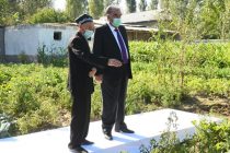 Президент страны Эмомали Рахмон ознакомился с эффективным использованием приусадебного участка семьи Воисовых в Пенджикенте