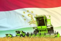 В Таджикистане с начала года произведено около 800 тыс. тонн зерновых