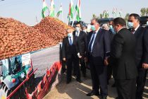 Лидер нации Эмомали Рахмон в Бободжон Гафуровском районе посетил выставку сельскохозяйственной продукции и принял участие в праздновании Иди Мехргон