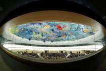 Россия, Украина и Узбекистан стали членами Совета ООН по правам человека