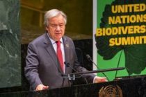 На саммите по биоразнообразию глава ООН призвал международное сообщество прекратить разрушать планету