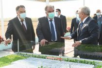 Лидер нации Эмомали Рахмон заложил первый камень в фундамент строительства современной теплицы и посетил теплицу «ММК-Агро» в Бободжон Гафуровском районе