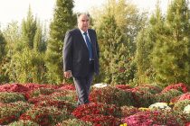Президент страны Эмомали Рахмон открыл современную теплицу «Буи Бахор» и принял участие в выставке декоративных цветов хризантем в Бободжон Гафуровском районе