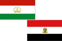 Новоназначенный посол Таджикистана в Египте вручил копии верительных грамот
