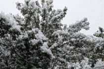 ФОТО-ФАКТ. В Таджикистане выпал первый снег!