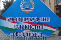 ФОТО-ФАКТ. Выборы Президента Таджикистана состоялись!