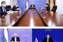 Состоялась встреча заместителей министров иностранных дел Таджикистана и Южной Кореи в формате видеоконференции