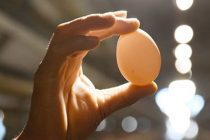Компания из США захотела заменить куриные яйца по всему миру искусственными