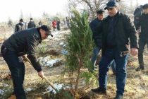 В Парке культуры и отдыха «Галаба» города Душанбе прошла экологическая акция по посадке деревьев