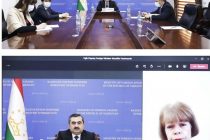 Таджикско-британские двусторонние отношения в политической, экономической и гуманитарной сферах обсуждены онлайн