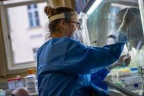 Ученые: мутации коронавируса в долгосрочной перспективе ведут к его ослаблению