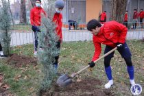 ФФТ поддержала акцию «Превратим Душанбе в зеленый город»