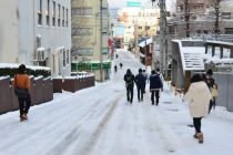 В Японии из-за снегопадов без электричества остались 9 тыс. домов