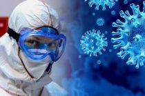 За сутки в мире выявлено более 532 тыс. случаев инфицирования коронавирусом