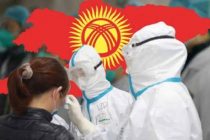 Статистика в Кыргызстане по COVID-19 за сутки: 162 новых случая, 2 смерти