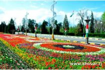 В Душанбе состоится городской конкурс цветов «Сайри гули лола»