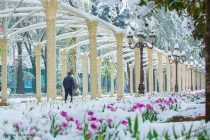 У ПРИРОДЫ НЕТ ПЛОХОЙ ПОГОДЫ. Несмотря на то, что синоптики Таджикистана  прогнозируют в ближайшие дни дождь, снег и порывистый ветер…