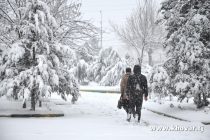 БЕЗ СНЕГА. В Таджикистане на Новый год снега не предвидится