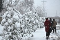О ПОГОДЕ: в Таджикистане ожидается неустойчивая погода, дождь и снег