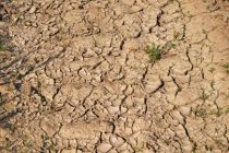 В Китае более 475 тысяч гектаров пахотных угодий пострадали от засухи