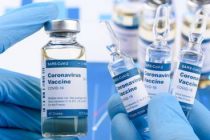 ВОЗ изучает заявки на регистрацию 14 вакцин от COVID-19, в том числе двух российских