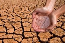 Более 60% населения Земли считают изменение климата «чрезвычайной ситуацией»